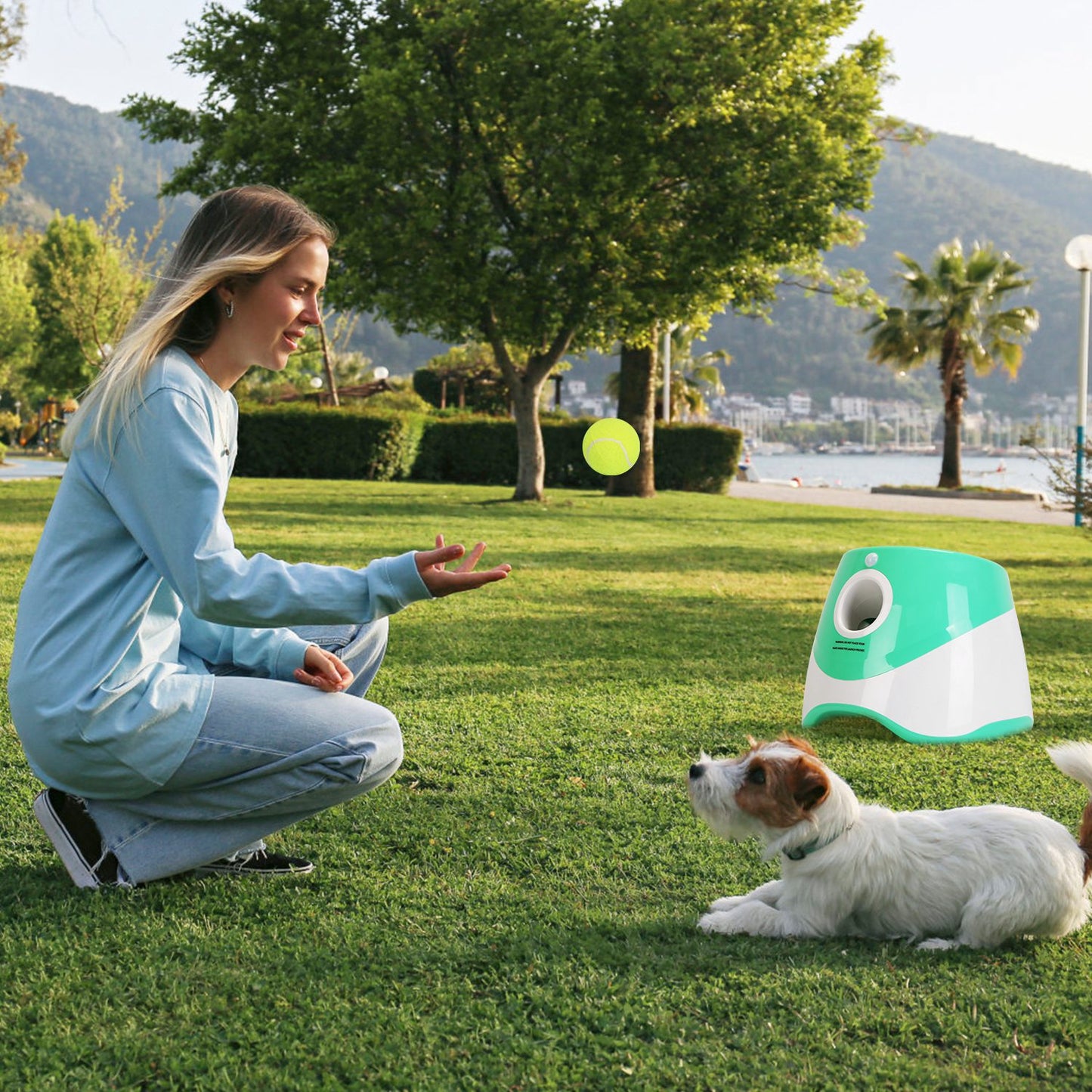 AutoFetch Pro — Automatic Dog Ball Launcher (Indoor & Outdoor, 3 Distances)